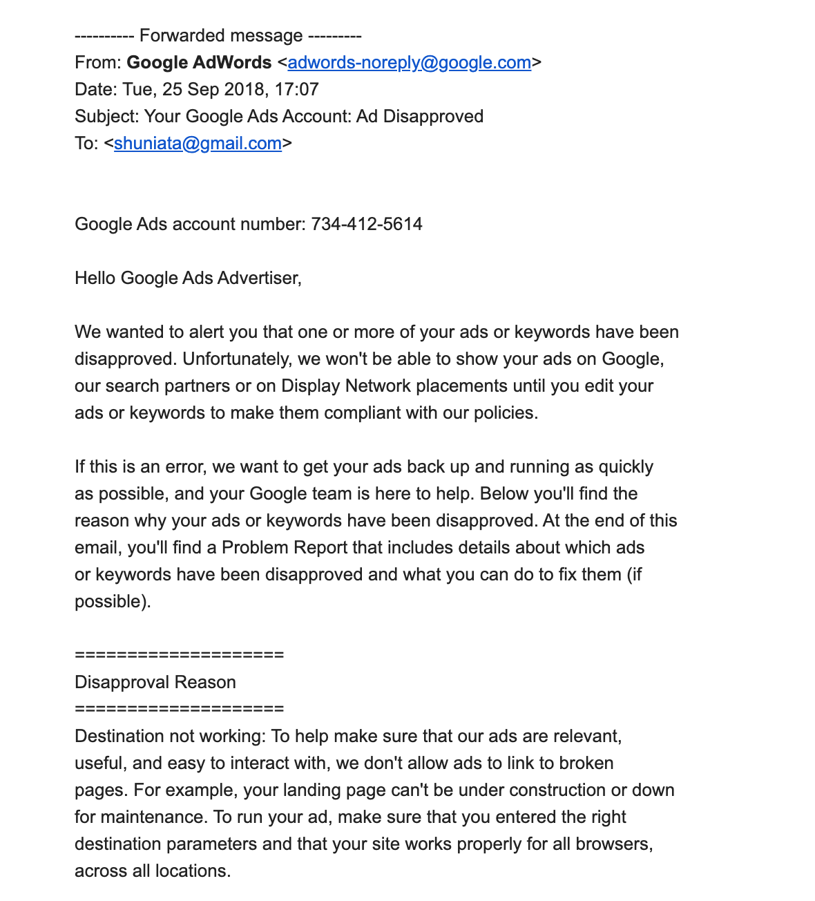 Captura de un mensaje de Google Ads que desaprueba una campaña vinculada al sitio de Appelbaum