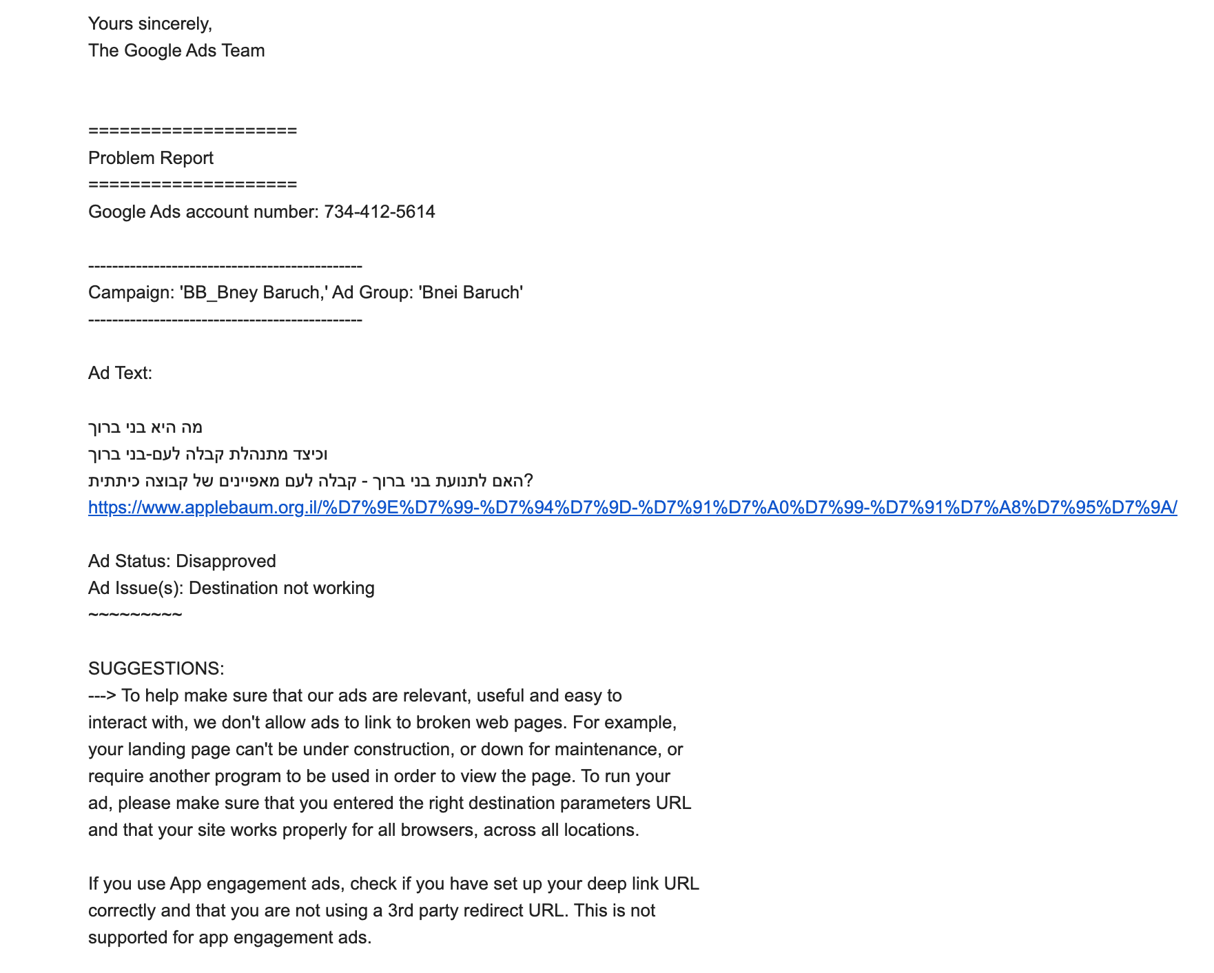 Captura del informe de problema de Google Ads para la campaña BB_Bney Baruch