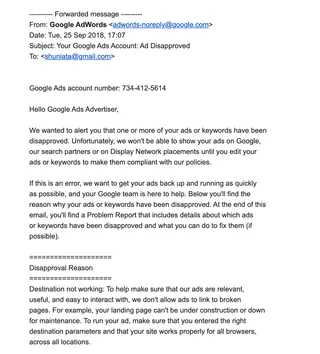Google Ads email disapproving an advertising campaign connected to the Appelbaum site